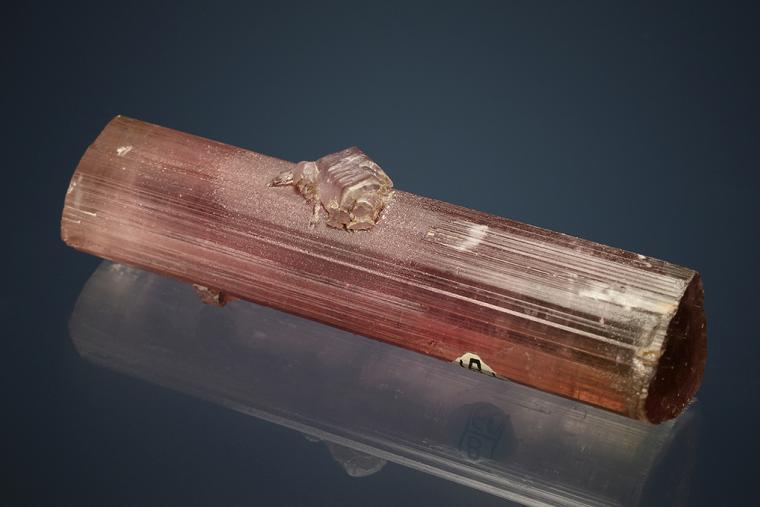 ELBAITE with LEPIDOLITE