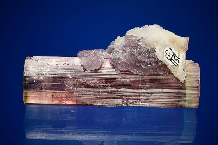 ELBAITE with LEPIDOLITE and ALBITE var. Cleavelandite