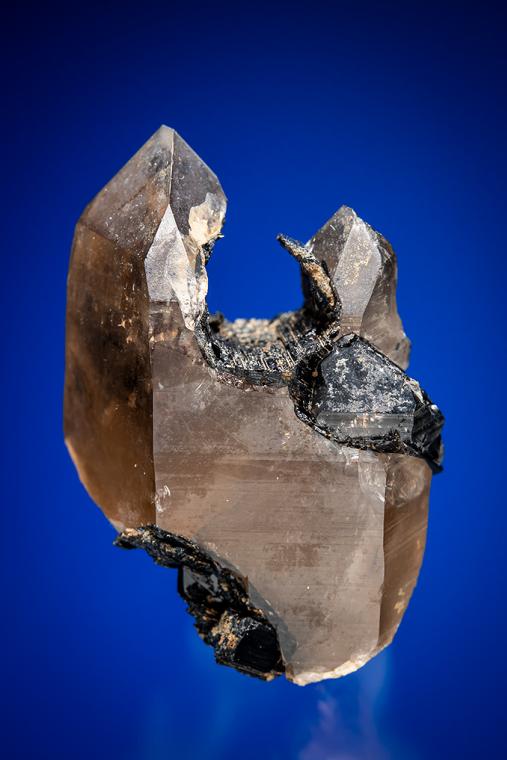 QUARTZ var. Smoky with SCHORL