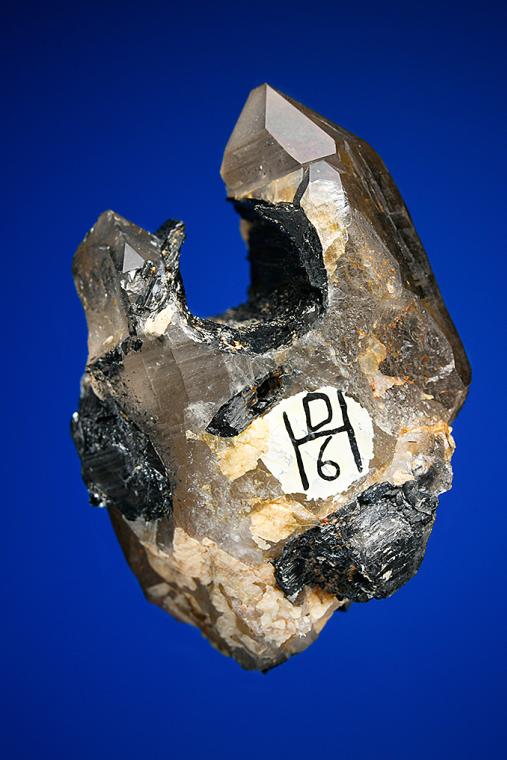QUARTZ var. Smoky with SCHORL