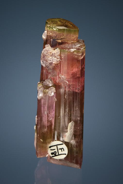 ELBAITE with LEPIDOLITE and ALBITE var. Cleavelandite