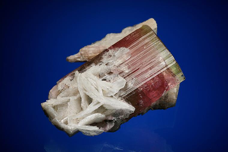 ELBAITE with ALBITE var. Cleavelandite, MICROCLINE and LEPIDOLITE