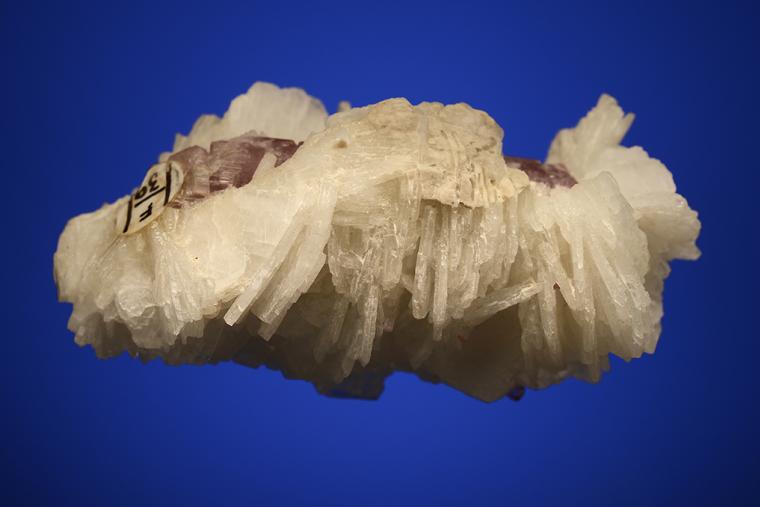 ALBITE var. Cleavelandite on APATITE