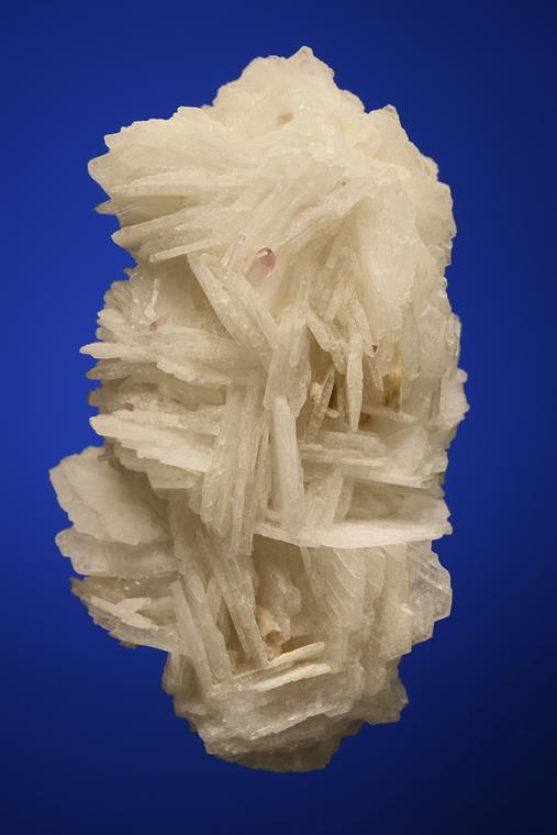 ALBITE var. Cleavelandite on APATITE