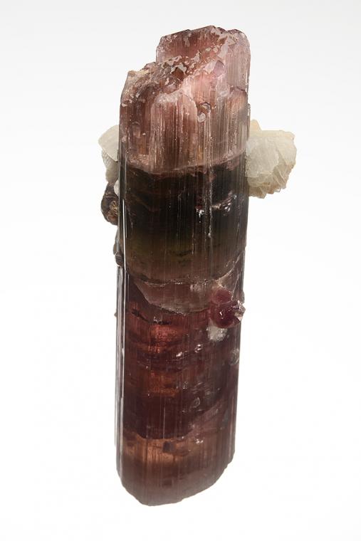 ELBAITE with LEPIDOLITE and ALBITE var. Cleavelandite (repaired)