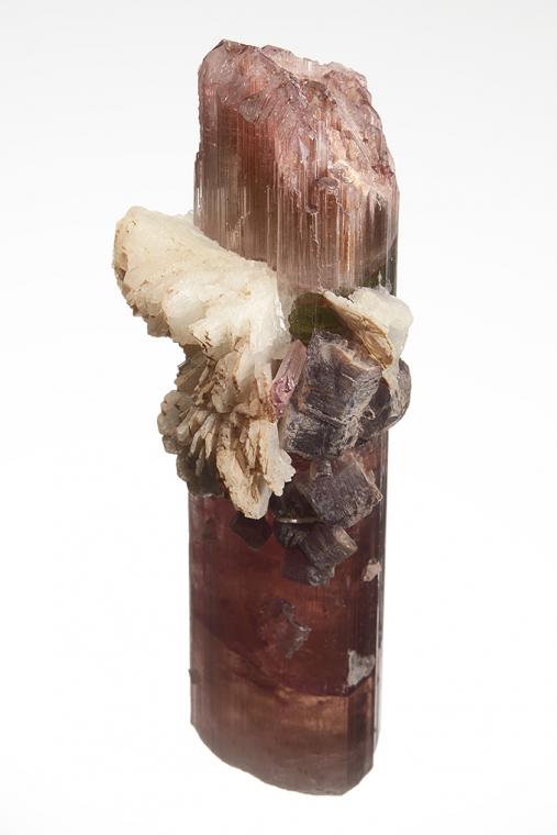 ELBAITE with LEPIDOLITE and ALBITE var. Cleavelandite (repaired)