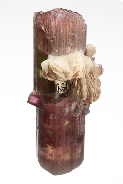 ELBAITE with LEPIDOLITE and ALBITE var. Cleavelandite (repaired)