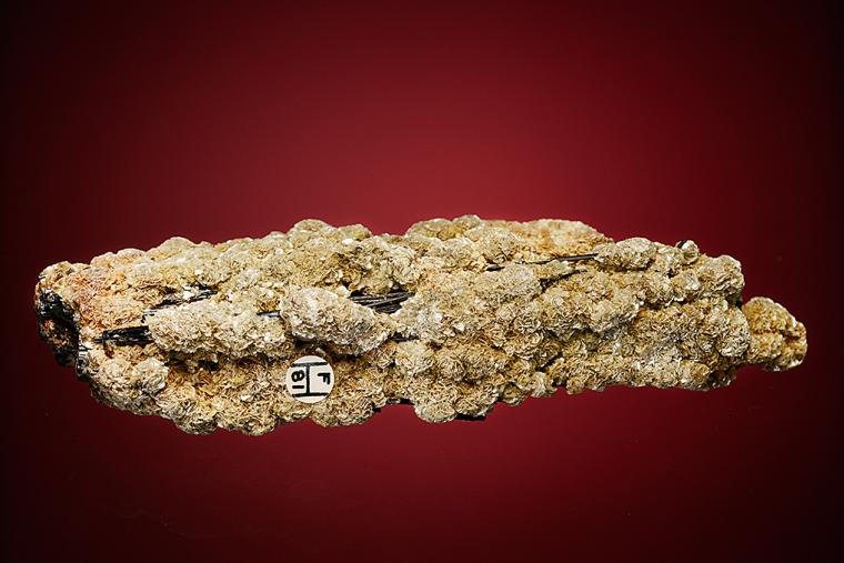 SCHORL  with MUSCOVITE
