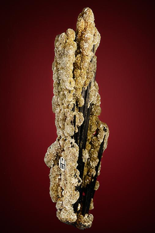 SCHORL  with MUSCOVITE