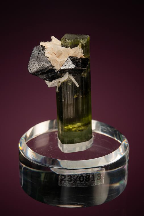 CASSITERITE with ALBITE var. Cleavelandite on ELBAITE