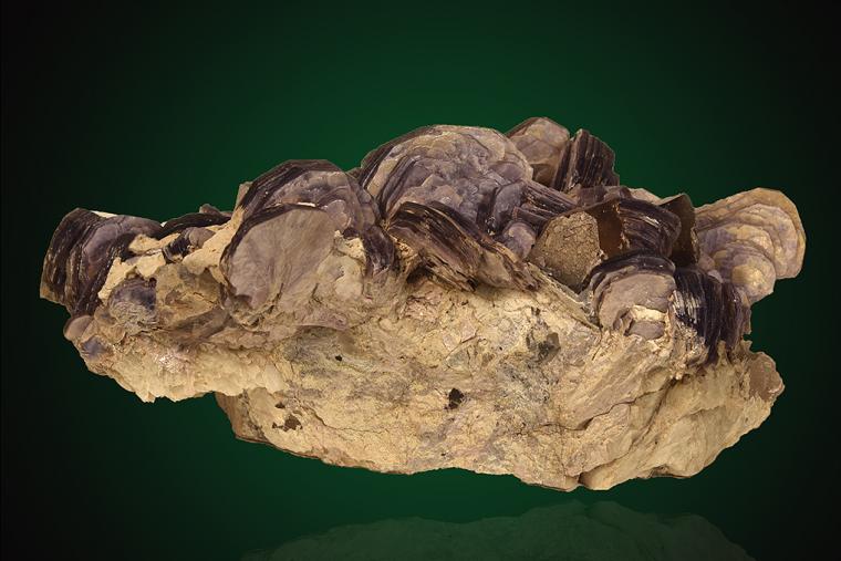 LEPIDOLITE on ALBITE var. Cleavelandite