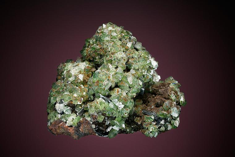 LUDLAMITE with VIVIANITE