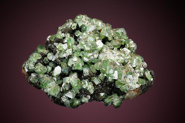LUDLAMITE with VIVIANITE