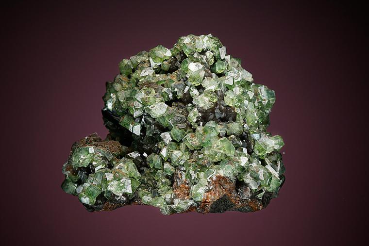 LUDLAMITE with VIVIANITE