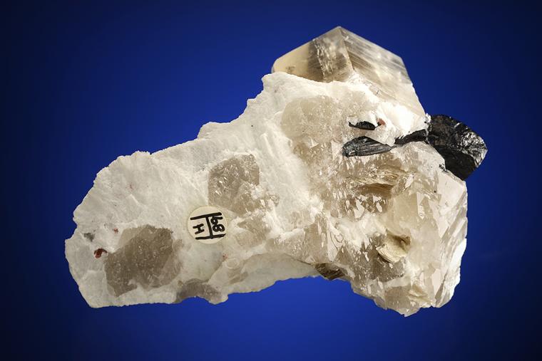 Tourmaline with QUARTZ var. Smoky on ALBITE var. Cleavelandite