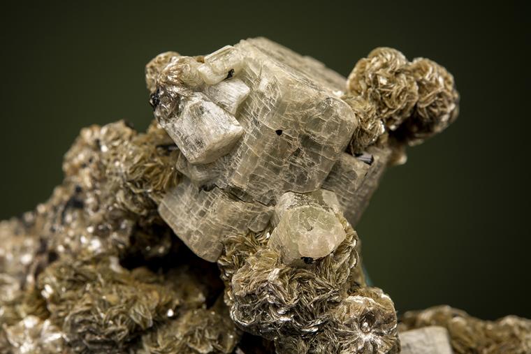 APATITE with SCHORL and MUSCOVITE