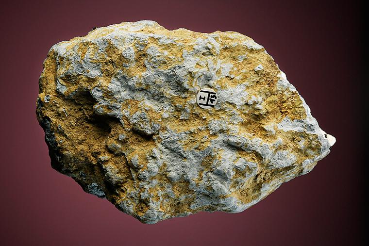 NEPTUNITE with BENITOITE