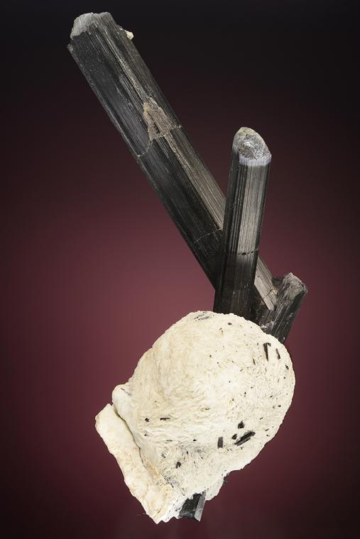 Tourmaline on ALBITE var. Cleavelandite