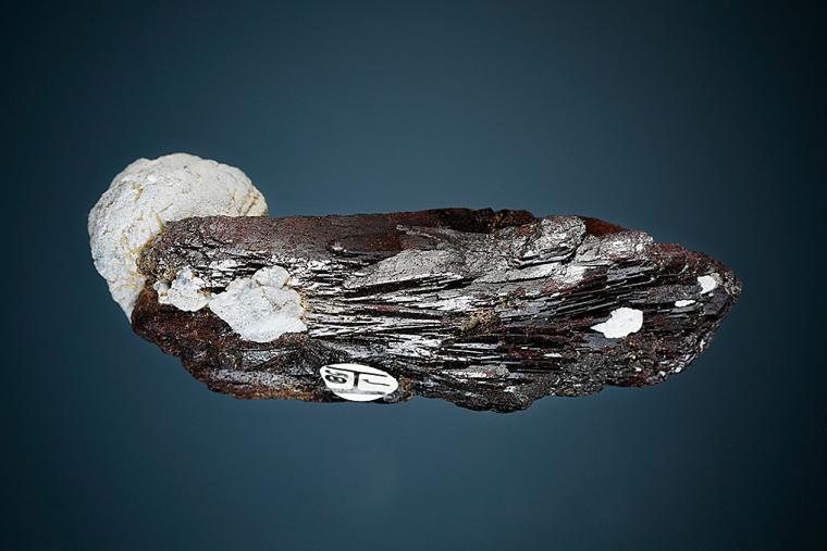 NEPTUNITE