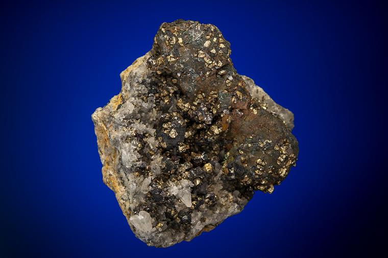 BORNITE and CHALCOPYRITE with PYRITE and ENARGITE on QUARTZ