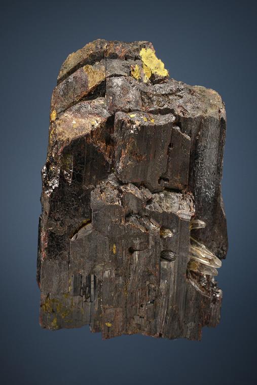 HÜBNERITE with QUARTZ