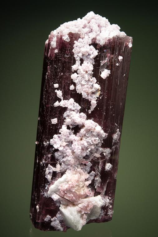 ELBAITE with LEPIDOLITE & ALBITE var. Cleavelandite