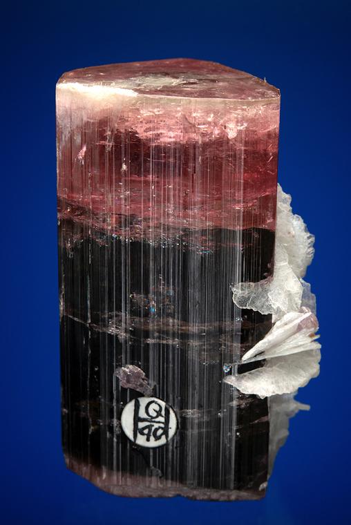 ELBAITE with ALBITE var. Cleavelandite