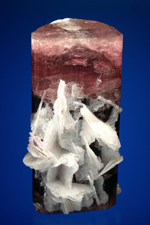 ELBAITE with ALBITE var. Cleavelandite