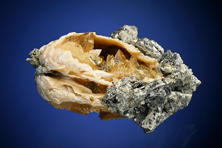 CALCITE replacing Mercenaria Permagna