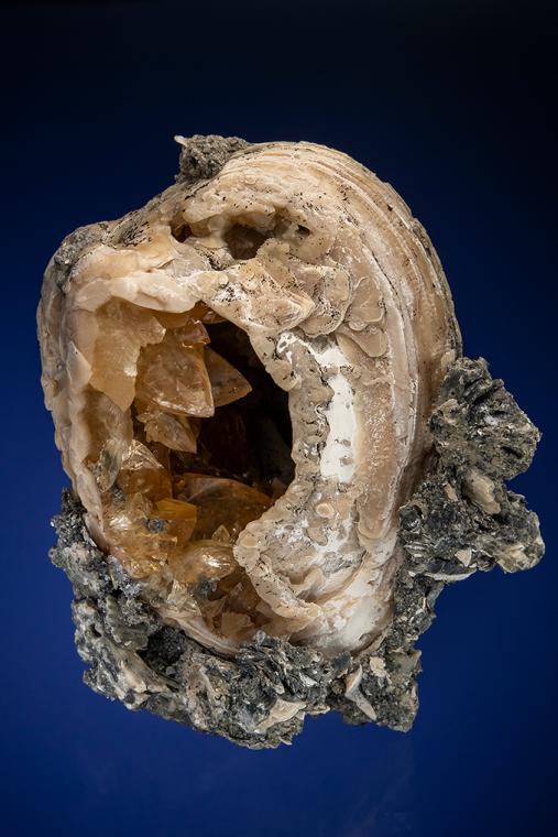 CALCITE replacing Mercenaria Permagna