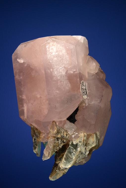 BERYL var. Morganite with MUSCOVITE