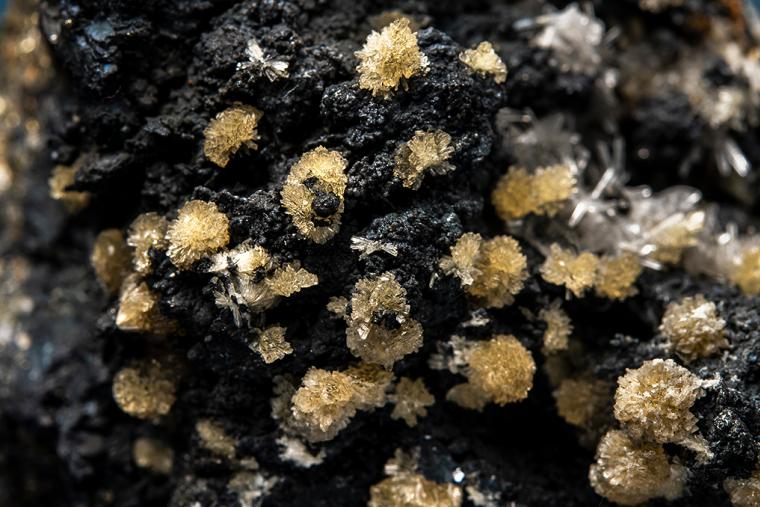 WAVELLITE on BORNITE