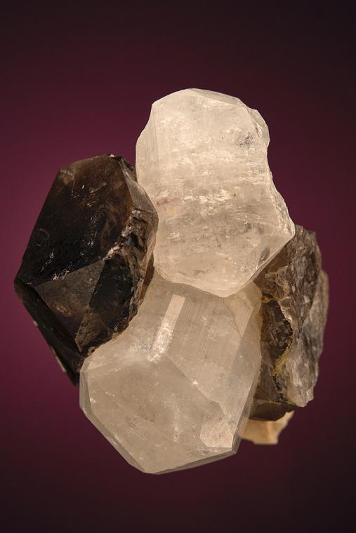 PHENAKITE on QUARTZ var. Smoky