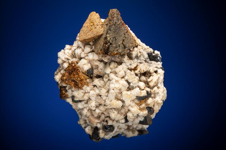 HELVITE and QUARTZ var. Smoky on ALBITE