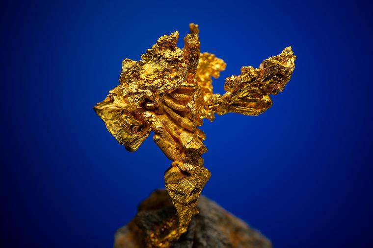 GOLD (repaired) [0.455 ozt]