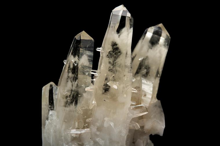 QUARTZ (Japan-law twin)