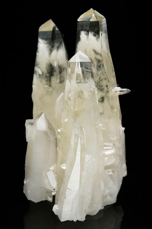 QUARTZ (Japan-law twin)