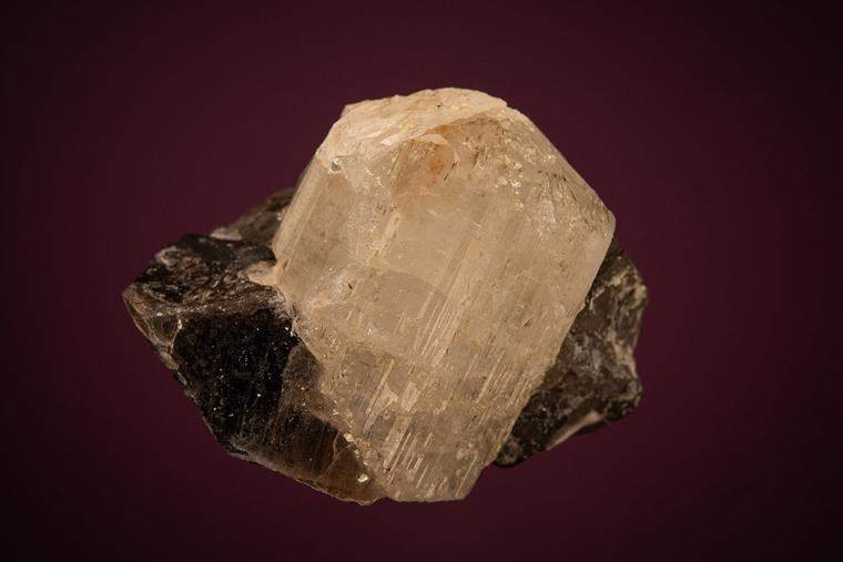 PHENAKITE on QUARTZ var. Smoky
