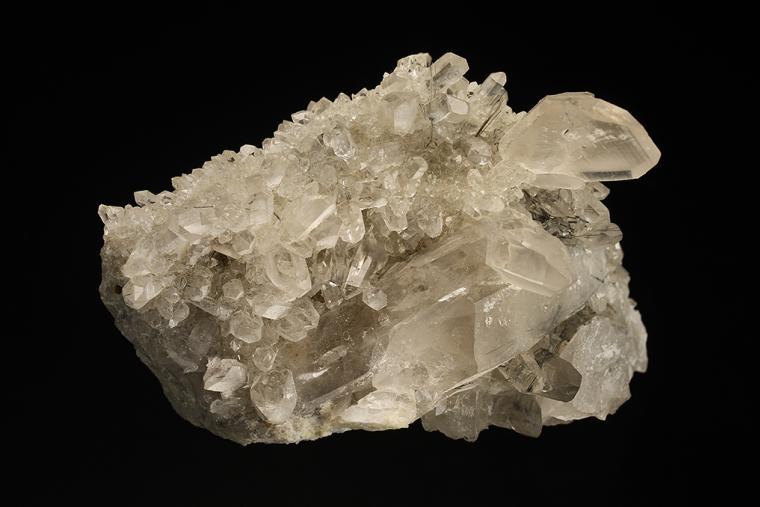 QUARTZ (Japan-law twin)