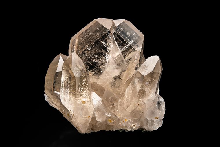 QUARTZ (Japan-law twin)