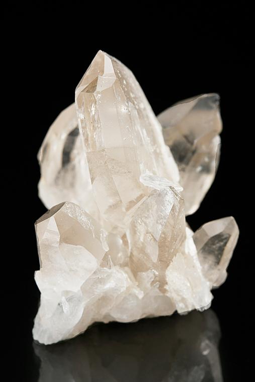 QUARTZ (Japan-law twin)