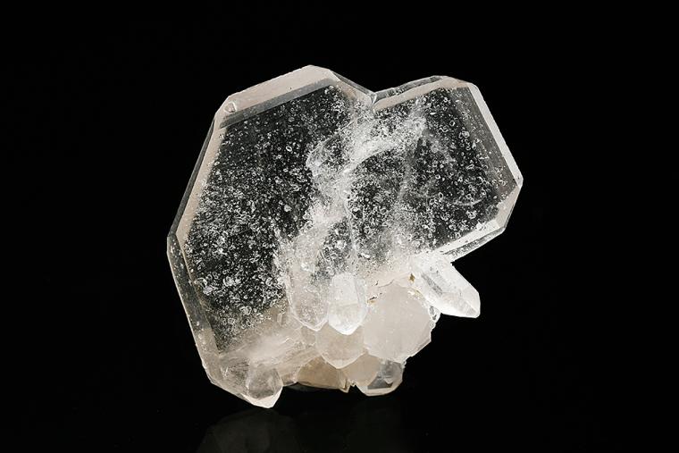 QUARTZ (Japan-law twin)