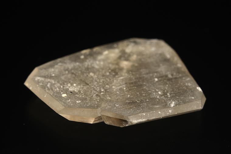 QUARTZ (Japan-law twin)