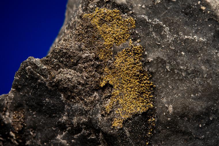 GOLD with HESSITE and PETZITE