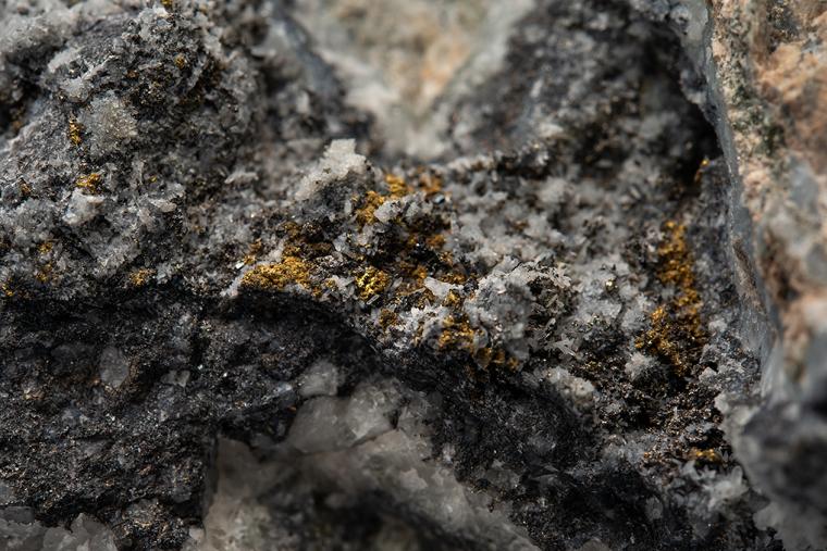 GOLD with GALENA, HESSITE and PETZITE