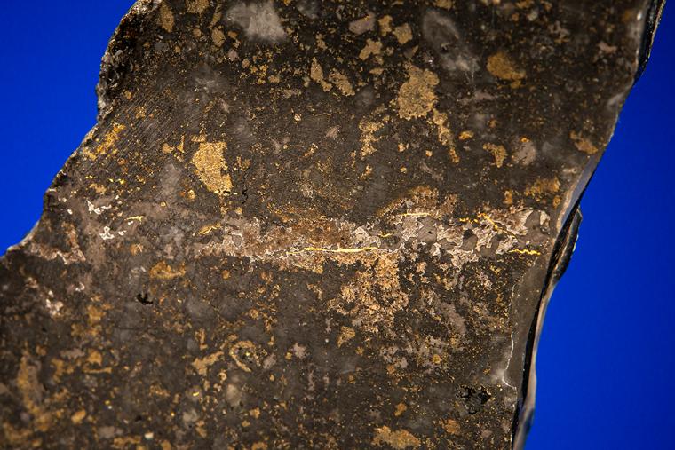 GOLD with HESSITE, PETZITE, and PYRITE