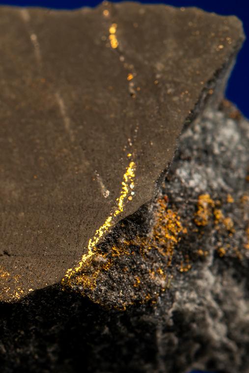 GOLD with HESSITE, PETZITE, and PYRITE