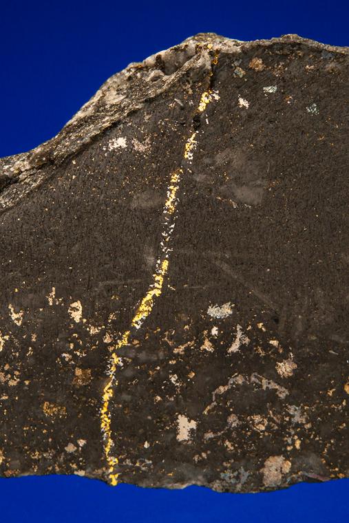 GOLD with HESSITE, PETZITE, and PYRITE