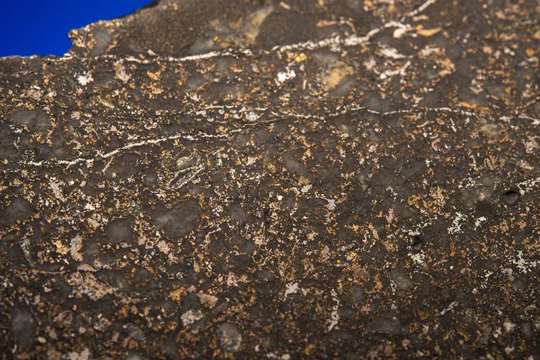 GOLD with HESSITE, PETZITE, and PYRITE