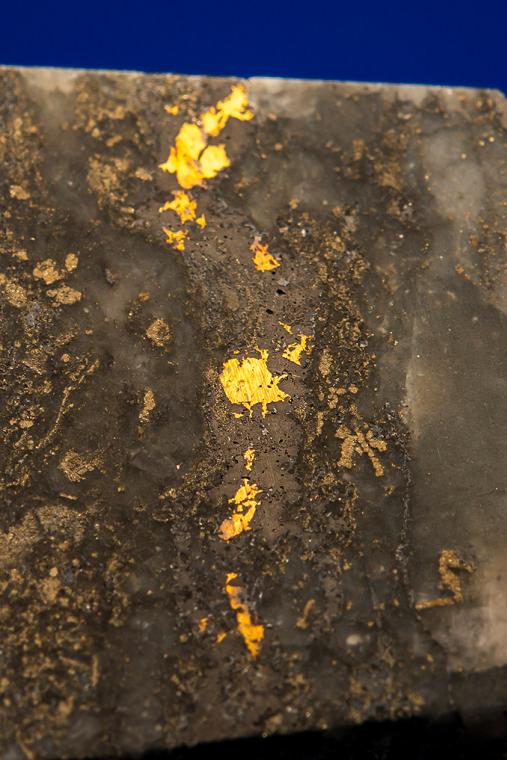 GOLD with HESSITE, PETZITE, and PYRITE